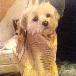 Meet your Posher, Irene